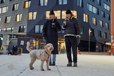 Tur med hund i sentrum