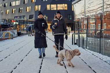 Tur med hund i sentrum