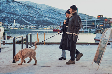 Tur med hund i sentrum