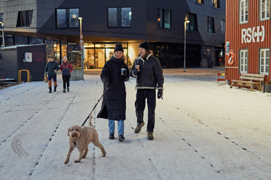 Tur med hund i sentrum