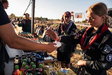 Skejser som betalingsmiddel