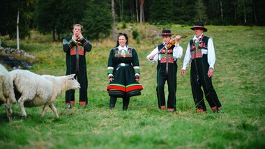 Lam på Syrtveit Gard