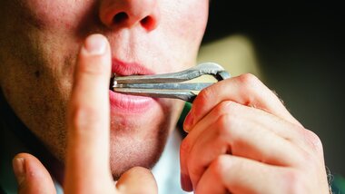 Tradisjonell hardingfele og munnharpe, Syrtveit gard