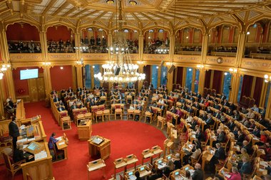 Votering - abortloven 3. desember 2024