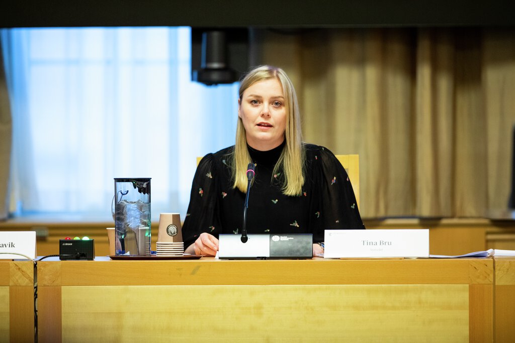 Høring i energi- og miljøkomiteen - Equinor  3. november 2020