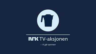 250404_Temapresentasjon PDF