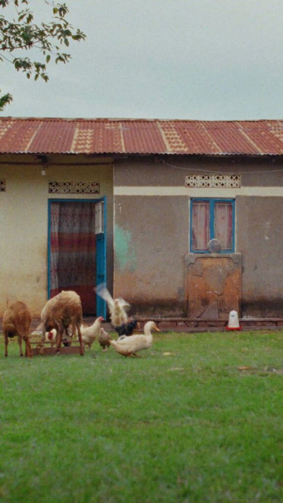 SoMe_tv-aksjonen_9x16_45sek