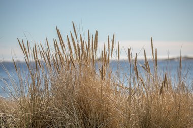 Nevlunghavn Gjestgiveri