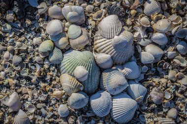 Nevlunghavn Gjestgiveri