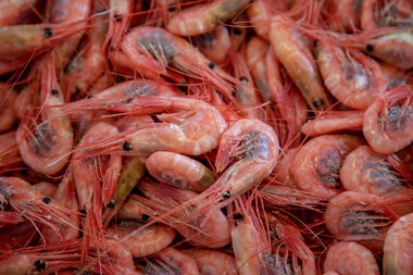 Nevlunghavn Gjestgiveri