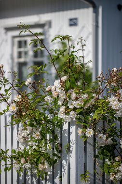 Nevlunghavn Gjestgiveri
