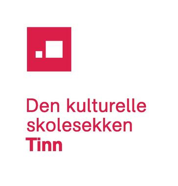 DKS-logo Tinn