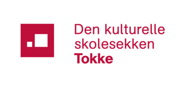 DKS-logo Tokke