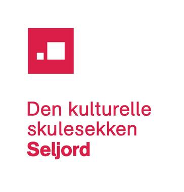 DKS-logo Seljord