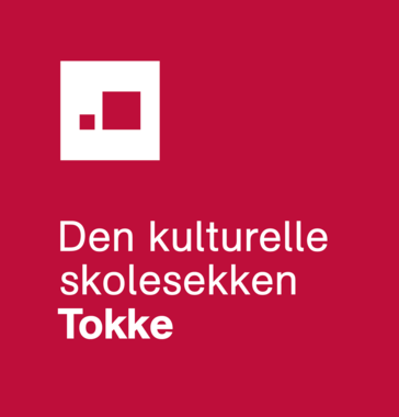 DKS-logo Tokke