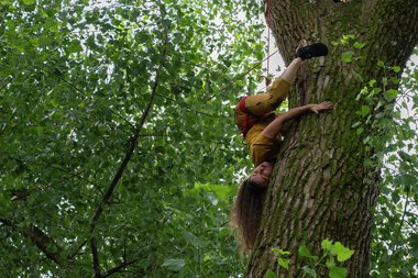 Aeldre, Markedet for Scenekunst 2024