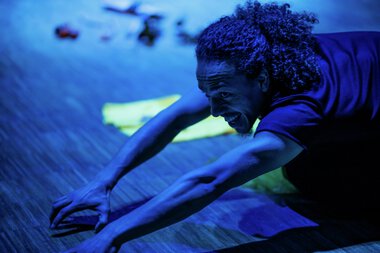 Fire fugler / Birdsong