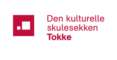 DKS-logo Tokke