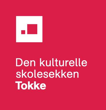 DKS-logo Tokke