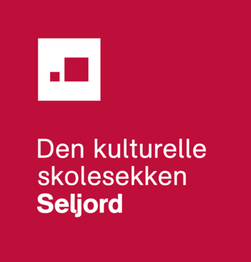 DKS-logo Seljord