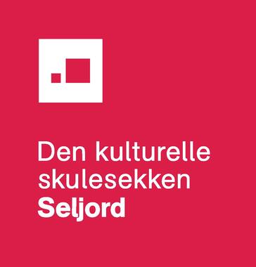 DKS-logo Seljord