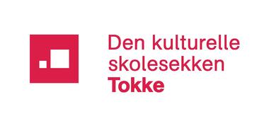 DKS-logo Tokke