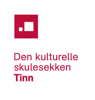 DKS-logo Tinn