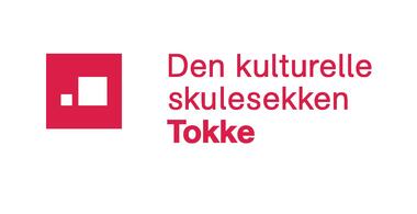 DKS-logo Tokke