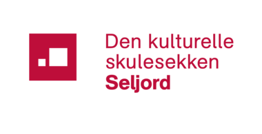 DKS-logo Seljord