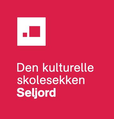DKS-logo Seljord