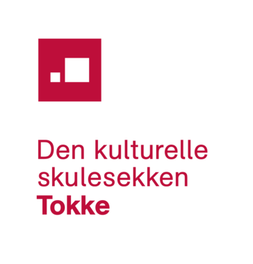 DKS-logo Tokke