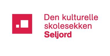 DKS-logo Seljord