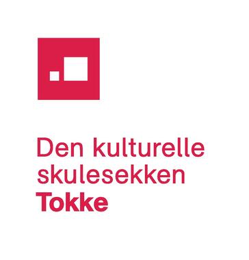 DKS-logo Tokke