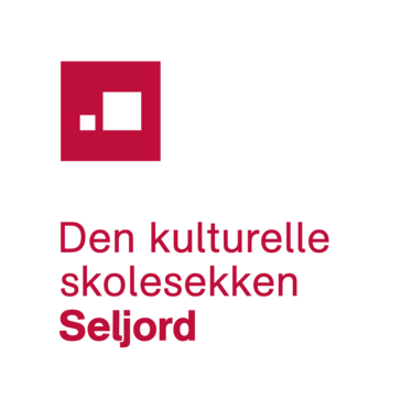 DKS-logo Seljord