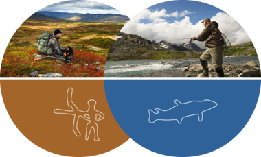 FeFo cover bilde bildearkiv