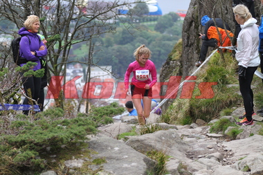 Stoltzekleiven Opp 2016