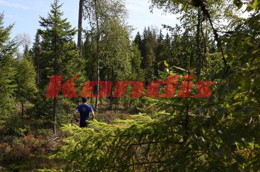 Kongsvinger Maraton 2024