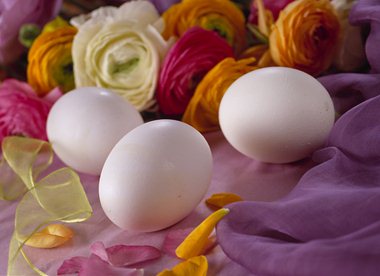 Egg i vårlig miljø