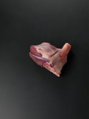 Reinsdyr skank trimmet