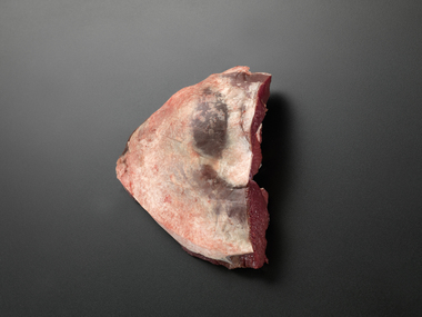 Reinsdyr mørbrad med lokk