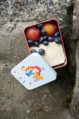 Rallarblings med blåbær