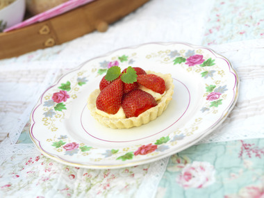 Picknic familien  opplysningskontoret for br  d og korn