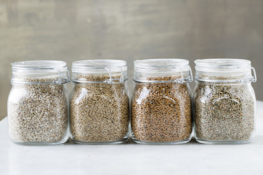 Bygg, havre, hvete og rug