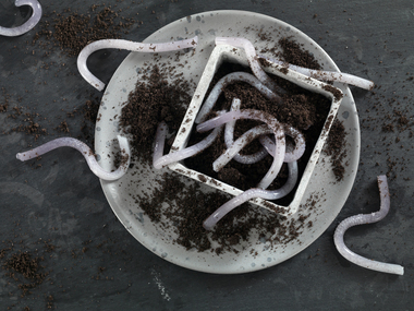 Gelémarker med spiselig jord