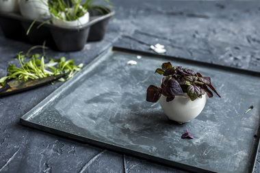 Eggeskall med urter 1