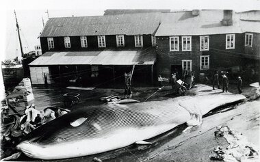 Finnøy Bryggehotell