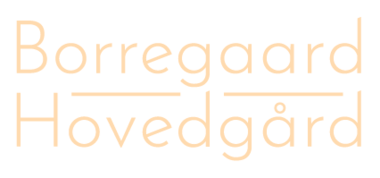 Borregaard Hovedgård