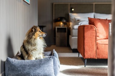 Henningsvær Bryggehotell