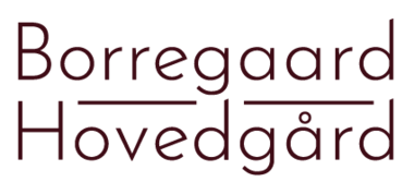 Borregaard Hovedgård
