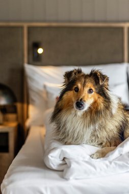 Henningsvær Bryggehotell